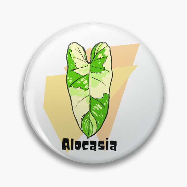 Item preview, Alocasia_3 designed and sold by PlantSholic.
