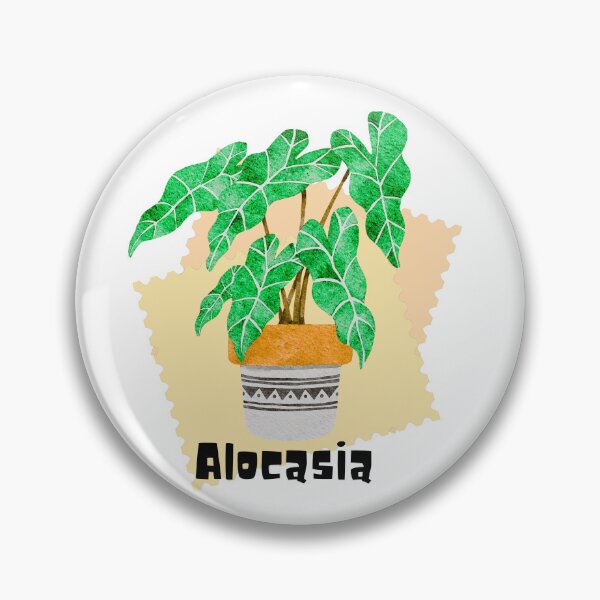 Item preview, Alocasia_5 designed and sold by PlantSholic.
