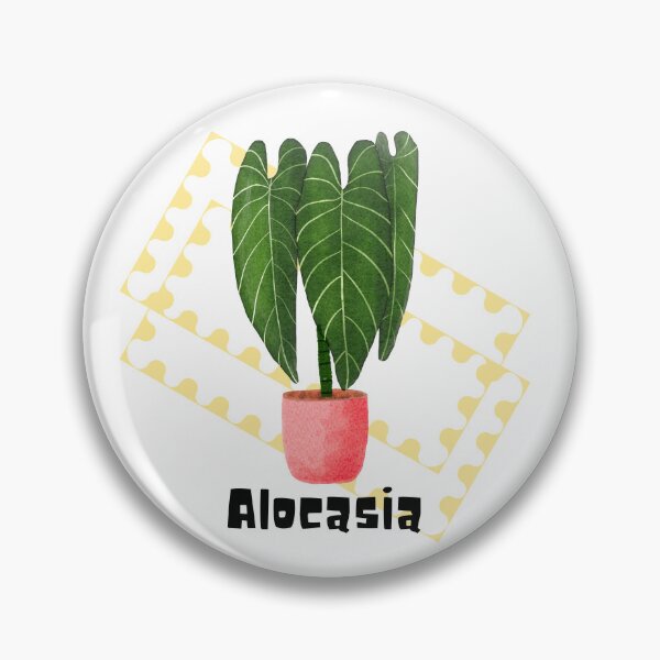Item preview, Alocasia_6 designed and sold by PlantSholic.