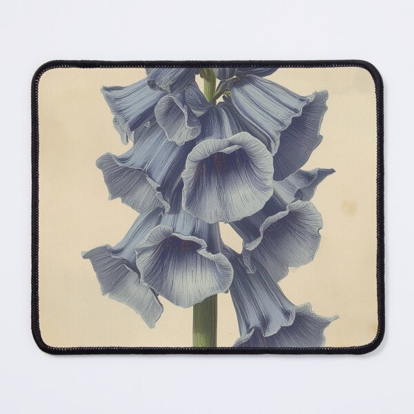 Item preview, Vintage Bluebell Botanical Illustration | Woodland Wildflower Artwork designed and sold by ThatSurreyLife.