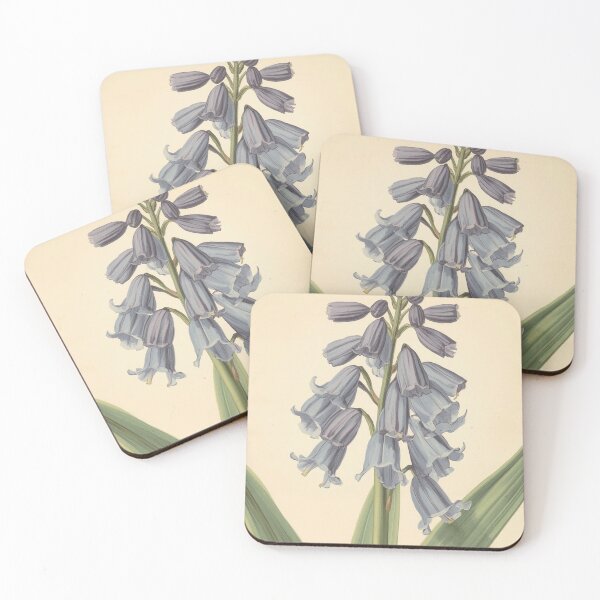 Item preview, Vintage Bluebell Botanical Illustration | Woodland Wildflower Artwork designed and sold by ThatSurreyLife.