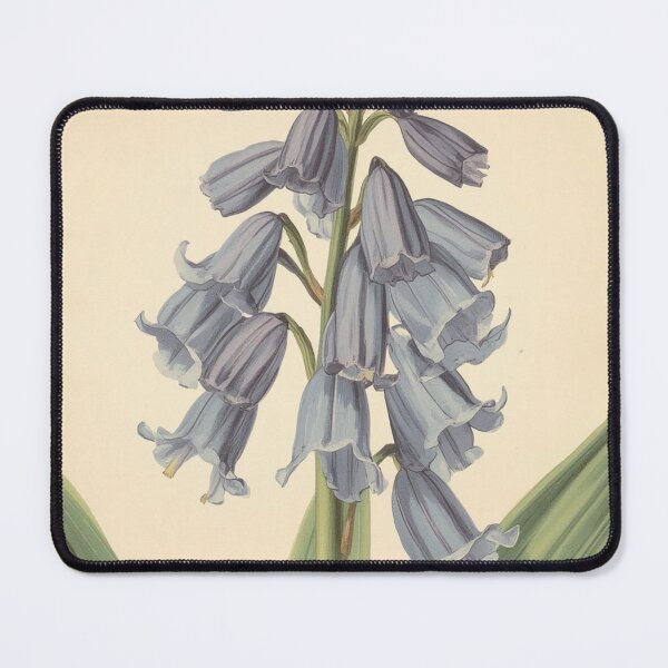Item preview, Vintage Bluebell Botanical Illustration | Woodland Wildflower Artwork designed and sold by ThatSurreyLife.