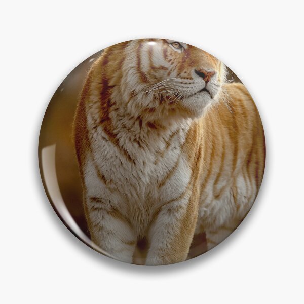 Item preview, Golden Tabby Tiger ultra detailed designed and sold by Helios Be. Lavsh.