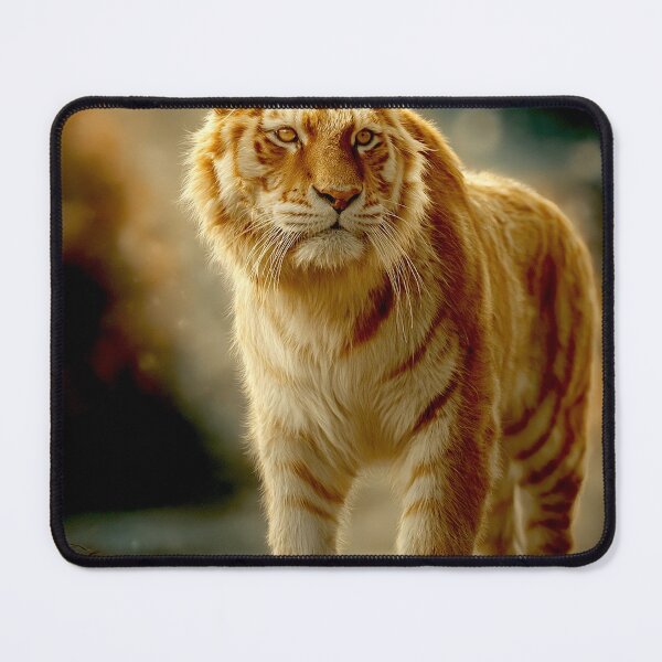 Item preview, Golden Tabby Tiger ultra detailed #3 designed and sold by Helios Be. Lavsh.