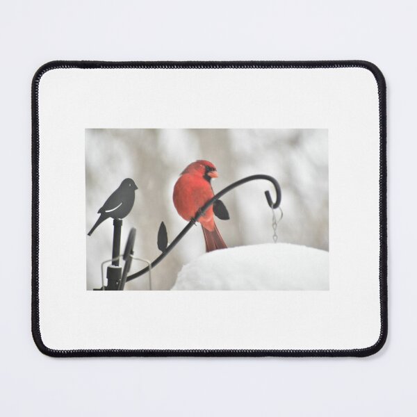 Item preview, Winter Visitor designed and sold by PetalWhisperer.