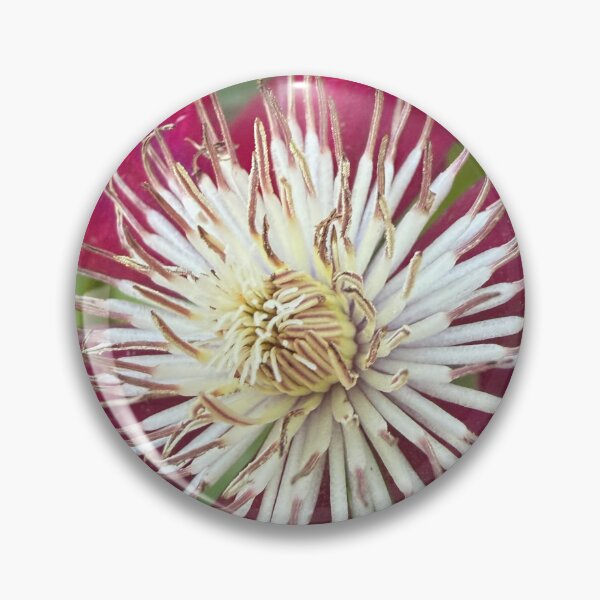 Item preview, Clematis in Bloom designed and sold by PetalWhisperer.