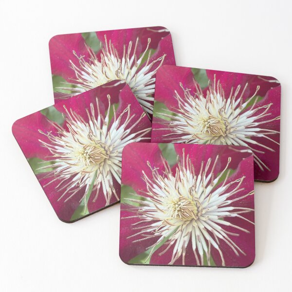 Item preview, Clematis in Bloom designed and sold by PetalWhisperer.