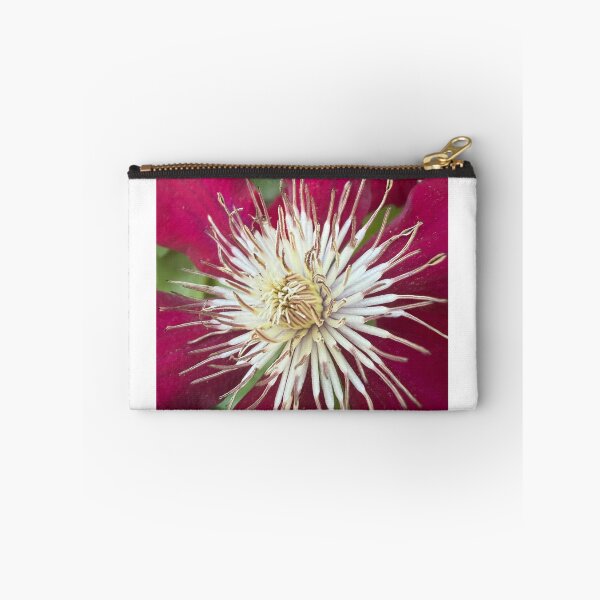 Item preview, Clematis in Bloom designed and sold by PetalWhisperer.