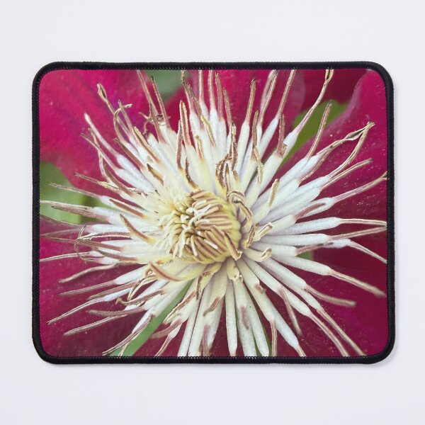 Item preview, Clematis in Bloom designed and sold by PetalWhisperer.