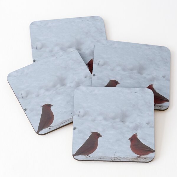 Item preview, Mr & Mrs cardinal designed and sold by Harmonyfellowship23.