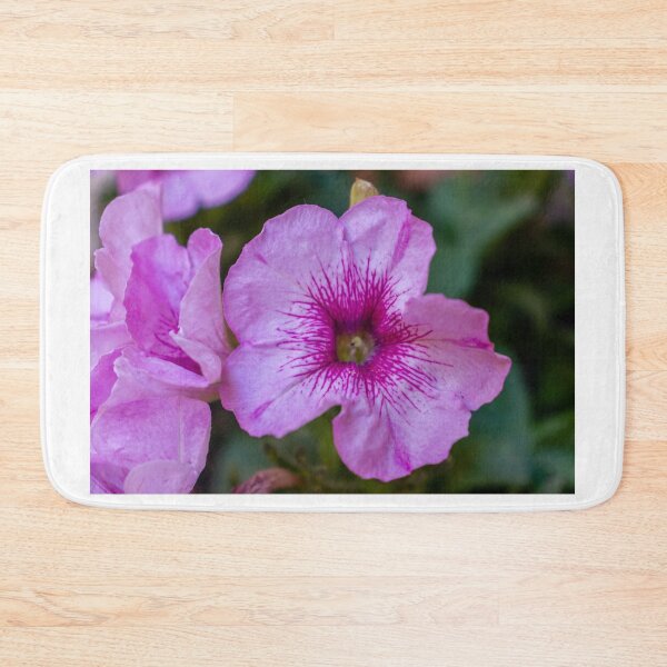 Item preview, Pink Petunia Close-Up Bloom With Veined Center in Garden Macro Floral Portrait designed and sold by Nmallia.