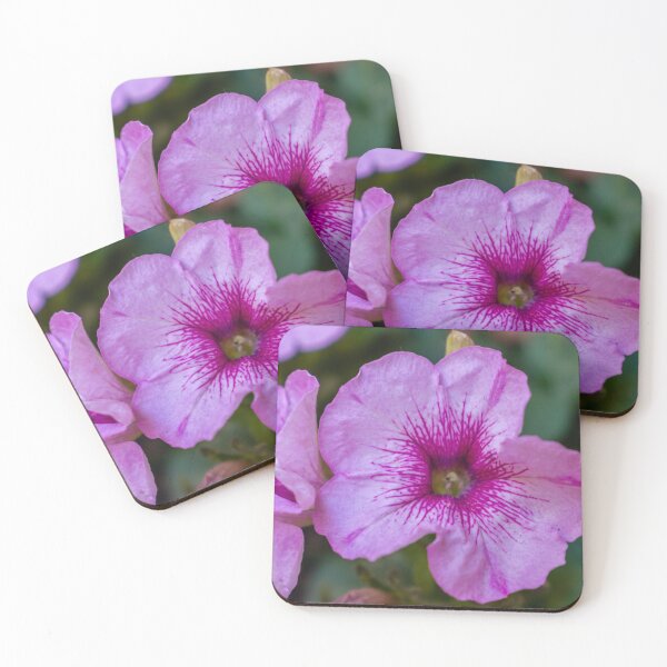 Item preview, Pink Petunia Close-Up Bloom With Veined Center in Garden Macro Floral Portrait designed and sold by Nmallia.