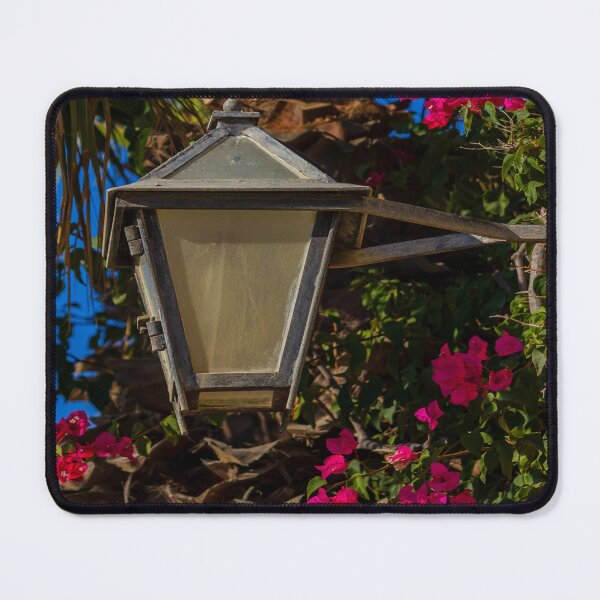 Item preview, Vintage Lantern and Pink Bougainvillea Climbing a Palm Tree in a Sunny Tropical Garden designed and sold by Nmallia.