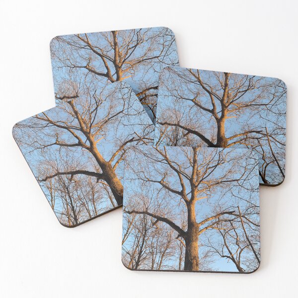 Item preview, Sun soaked branches designed and sold by Harmonyfellowship23.