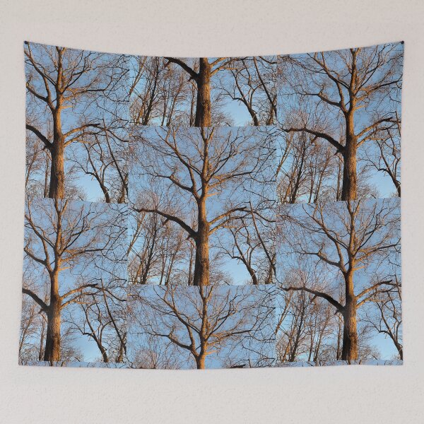 Item preview, Sun soaked branches designed and sold by Harmonyfellowship23.