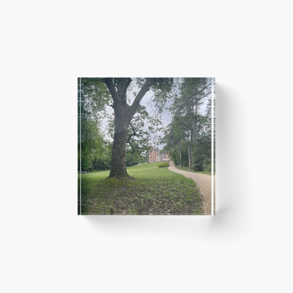 Item preview, Château du Clos Lucé designed and sold by dreamtravel.