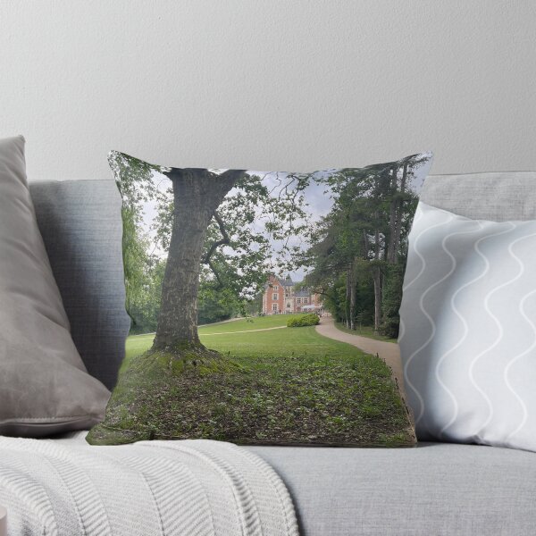 Item preview, Château du Clos Lucé designed and sold by dreamtravel.
