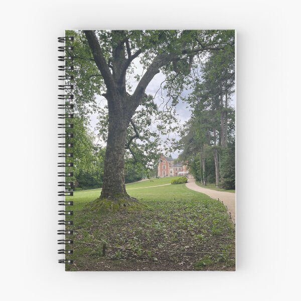 Item preview, Château du Clos Lucé designed and sold by dreamtravel.