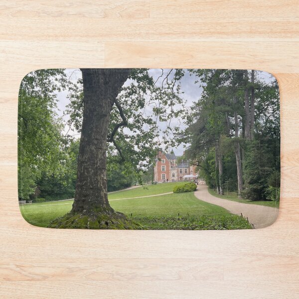 Item preview, Château du Clos Lucé designed and sold by dreamtravel.
