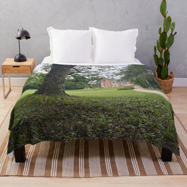 Item preview, Château du Clos Lucé designed and sold by dreamtravel.