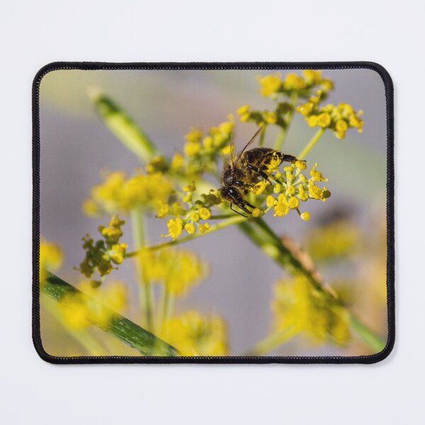 Item preview, Honeybee Pollinating Yellow Wildflower Close-Up Macro Photography Of Bee On Blossom designed and sold by Nmallia.