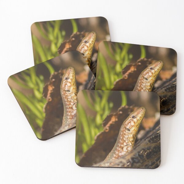 Item preview, Close-Up Lizard Portrait Among Desert Plants Sunlit Reptile on Rock Macro Wildlife Photo designed and sold by Nmallia.