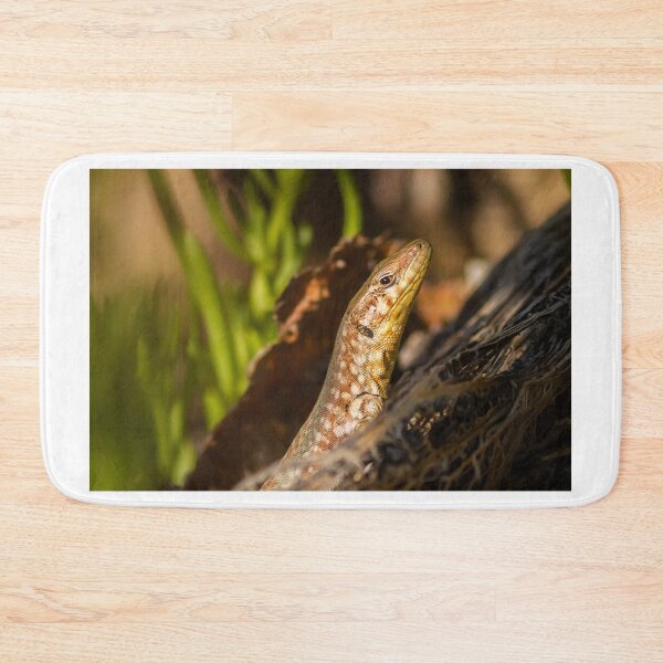 Item preview, Close-Up Lizard Portrait Among Desert Plants Sunlit Reptile on Rock Macro Wildlife Photo designed and sold by Nmallia.