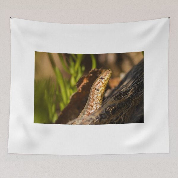Item preview, Close-Up Lizard Portrait Among Desert Plants Sunlit Reptile on Rock Macro Wildlife Photo designed and sold by Nmallia.