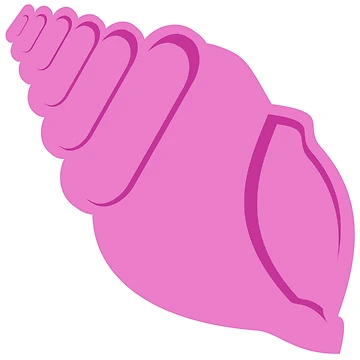 Artwork thumbnail, Pink Conch Shell by Risa-C