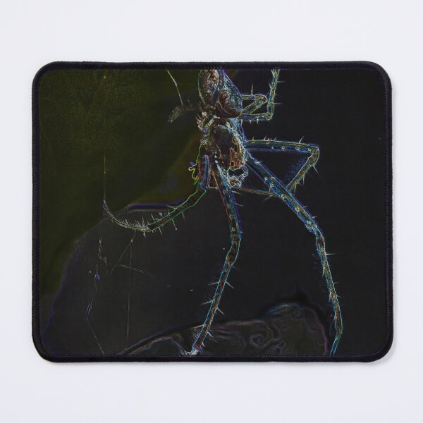 Item preview, Glowing Spider on Leaf designed and sold by tonivainio.