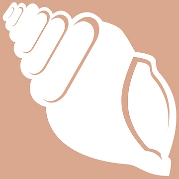 Artwork thumbnail, White Conch Shell by Risa-C