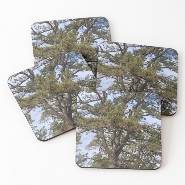 Item preview, Winding pine designed and sold by Harmonyfellowship23.