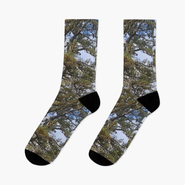 Item preview, Winding pine designed and sold by Harmonyfellowship23.