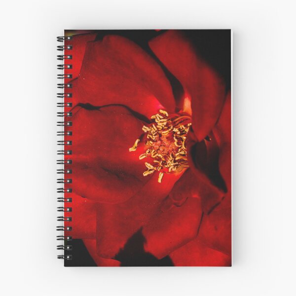 Item preview, Red flower designed and sold by XaviFotografia.