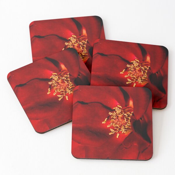 Item preview, Red flower designed and sold by XaviFotografia.