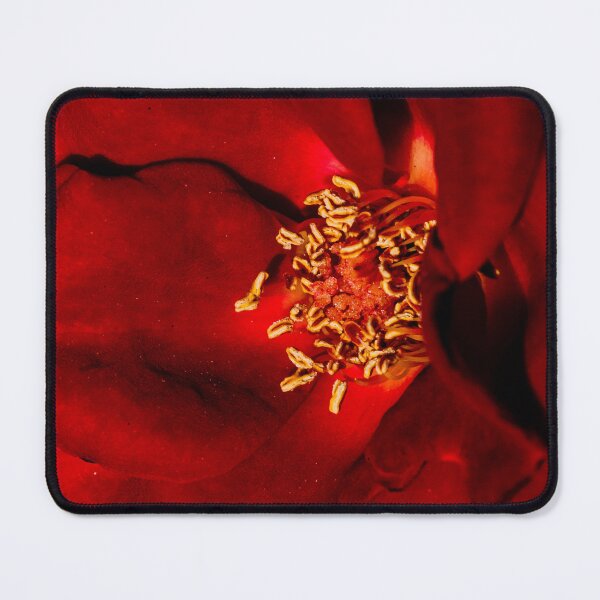 Item preview, Red flower designed and sold by XaviFotografia.