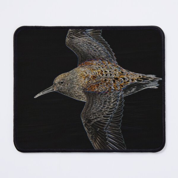 Item preview, Neon Dunlin in Flight designed and sold by tonivainio.