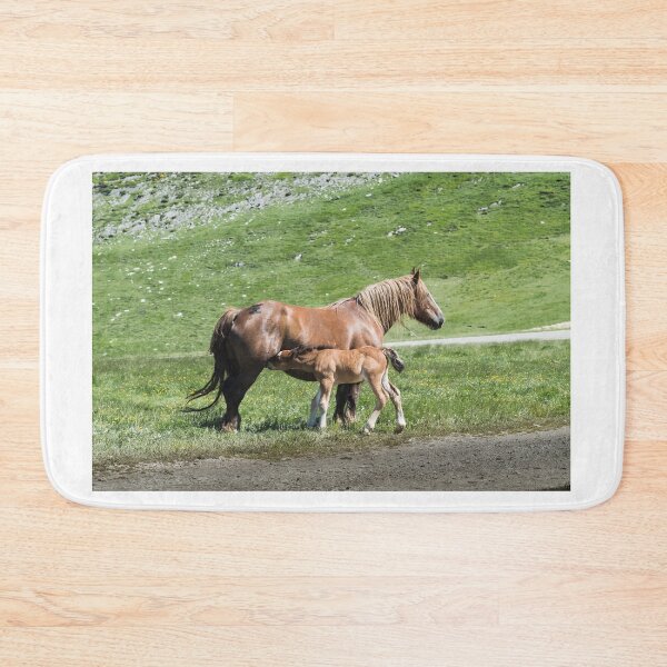 Item preview, Horses designed and sold by XaviFotografia.