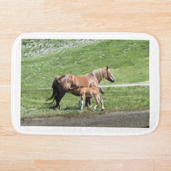 Item preview, Horses designed and sold by XaviFotografia.
