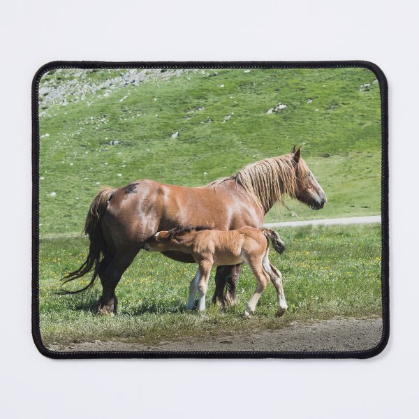 Item preview, Horses designed and sold by XaviFotografia.