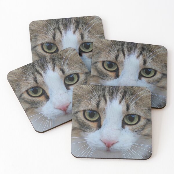 Item preview, Beautiful Cat Eyes – Close-Up Cat Photography designed and sold by MB-CatPrints.