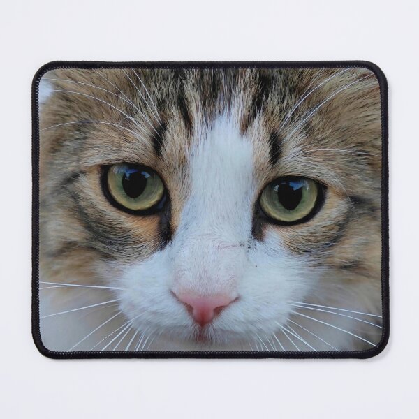 Item preview, Beautiful Cat Eyes – Close-Up Cat Photography designed and sold by MB-CatPrints.