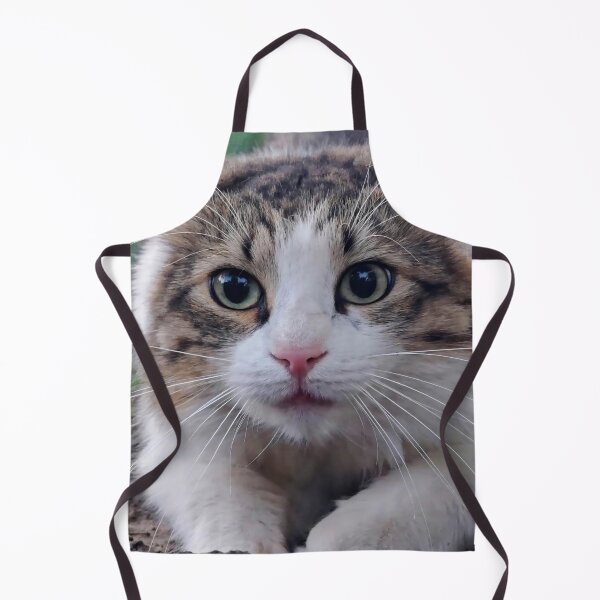 Item preview, Curious Fluffy Cat in the Garden – Cat Photography designed and sold by MB-CatPrints.