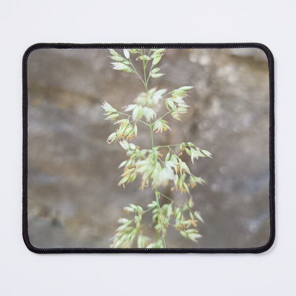 Item preview, Delicate Wild Grass Closeup designed and sold by PhuongVoArt.