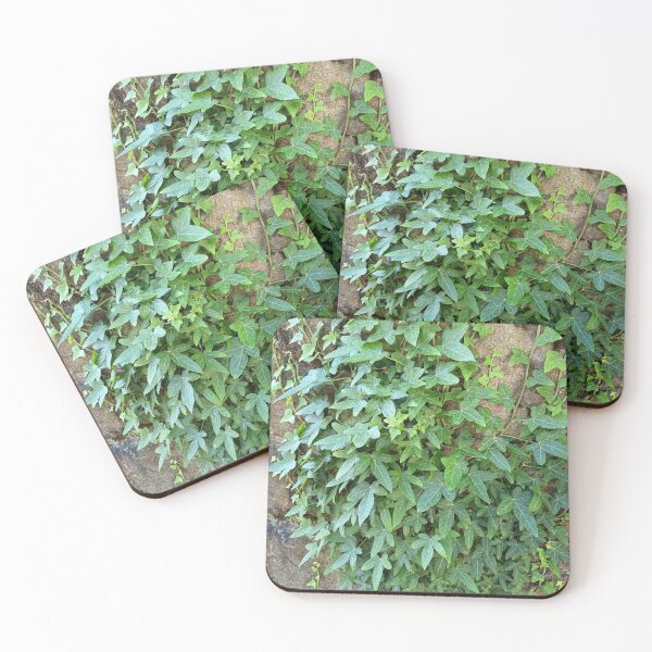 Item preview, Green Ivy on Stone Wall designed and sold by PhuongVoArt.