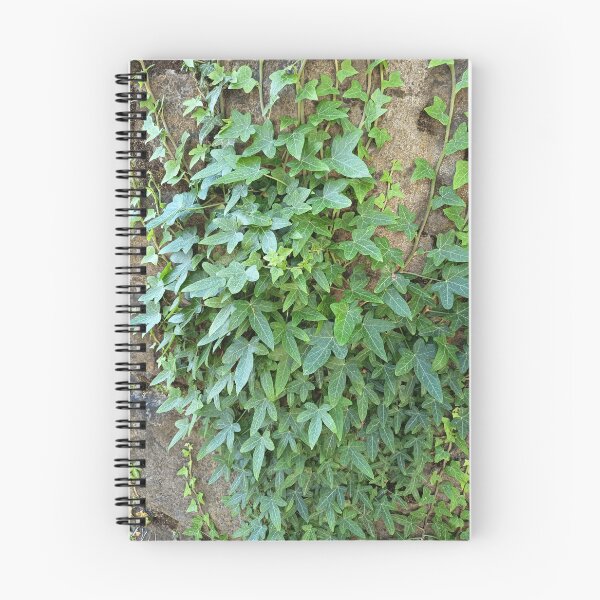 Item preview, Green Ivy on Stone Wall designed and sold by PhuongVoArt.