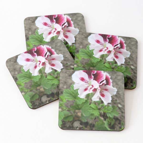 Artikelvorschau, Pink and Burgundy Geranium Bloom entworfen und verkauft von PhuongVoArt.