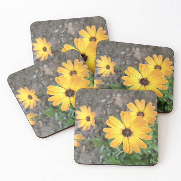 Item preview, Golden African Daisy Bloom designed and sold by PhuongVoArt.
