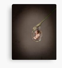 Dew Drop Baby Canvas Print