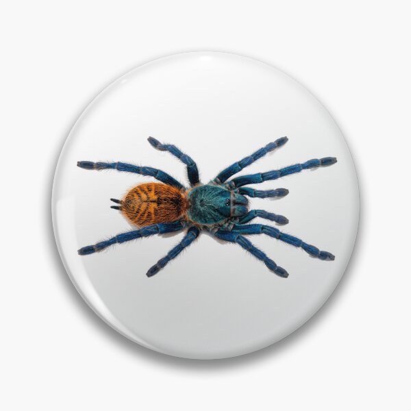 Item preview, Blue horseshoe tarantula designed and sold by Chaoscience.